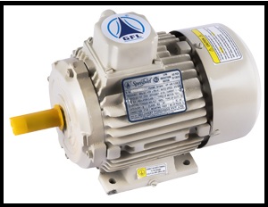 ELECTRIC MOTOR 3 PHASE