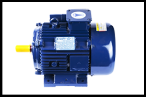 Single Phase Induction Motor
