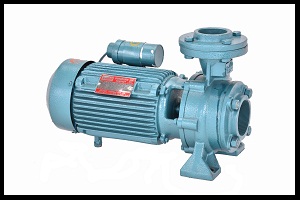 GFCM 1565
